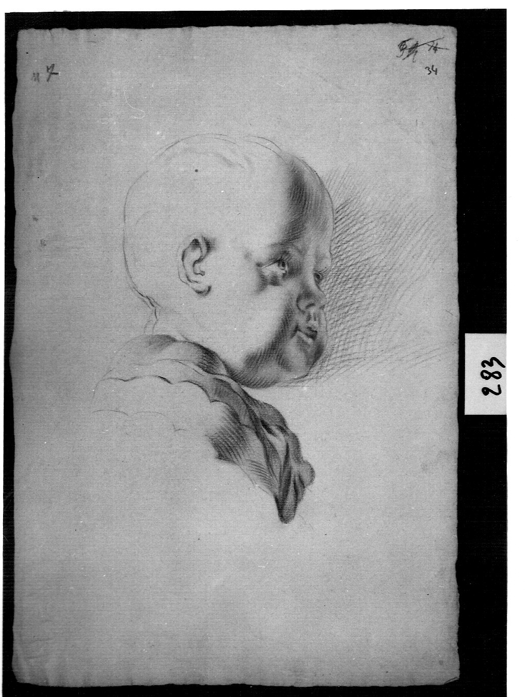 busto di puttino in fasce (disegno, opera isolata) di Ligari Pietro (attribuito) (prima metà sec. XVIII)