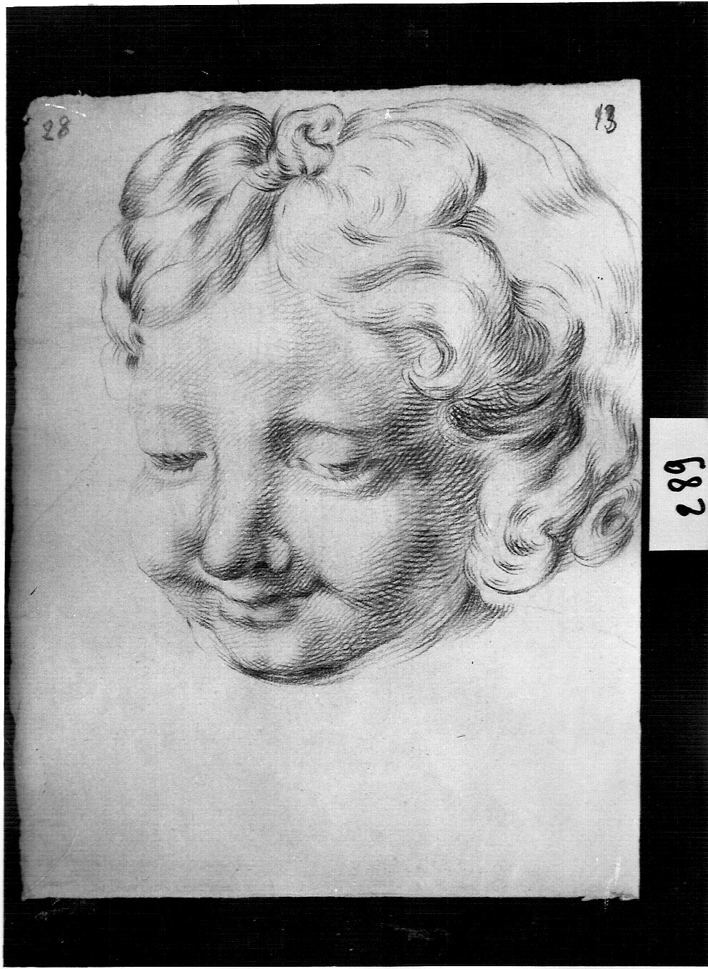 testa di fanciullo sorridente (disegno, opera isolata) di Ligari Cesare (attribuito) (sec. XVIII)