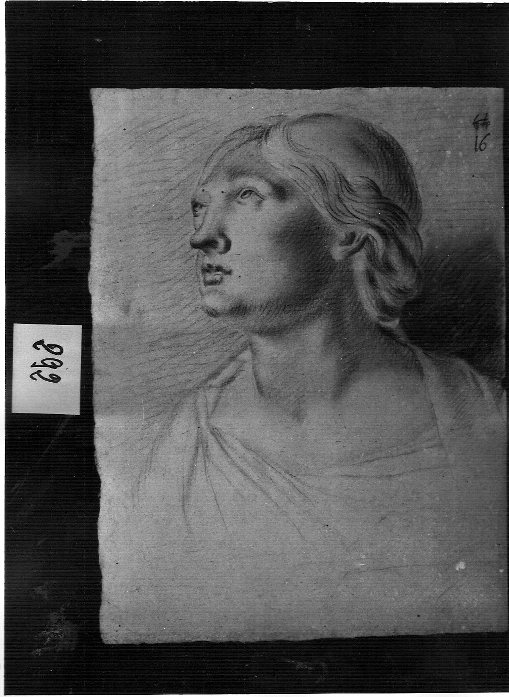 testa di giovane donna (disegno, opera isolata) di Ligari Pietro (attribuito) (secondo quarto sec. XVIII)