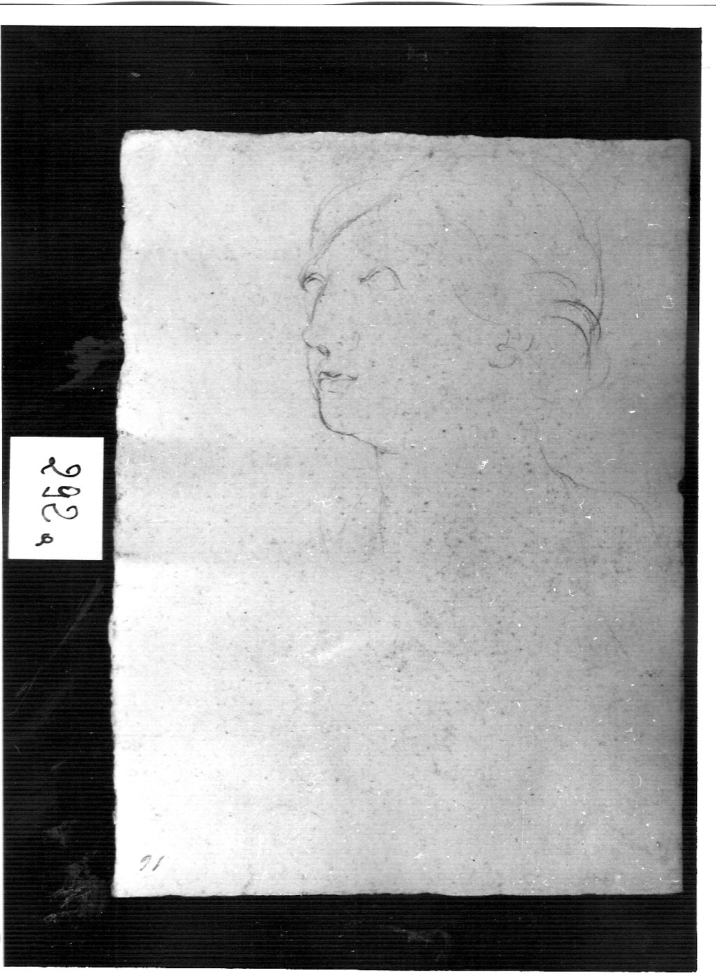 traccia testa di giovane donna (disegno, opera isolata) - ambito lombardo (secondo quarto sec. XVIII)