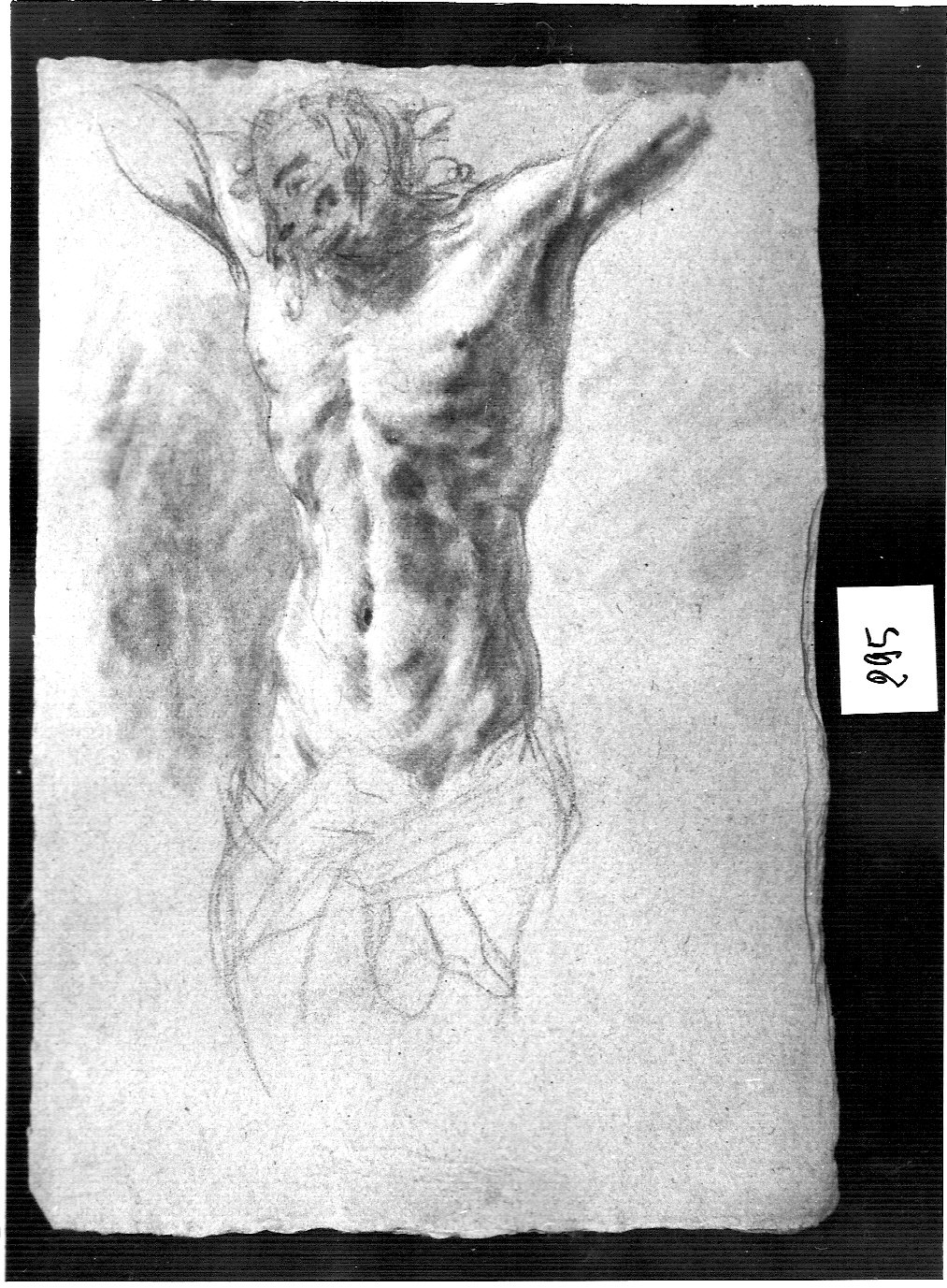 abbozzo di crocifisso (disegno, opera isolata) di Ligari Cesare (attribuito) (sec. XVIII)