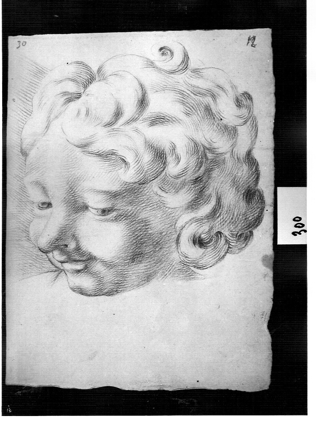 testa di fanciullo sorridente (disegno, opera isolata) di Ligari Cesare (attribuito) (sec. XVIII)