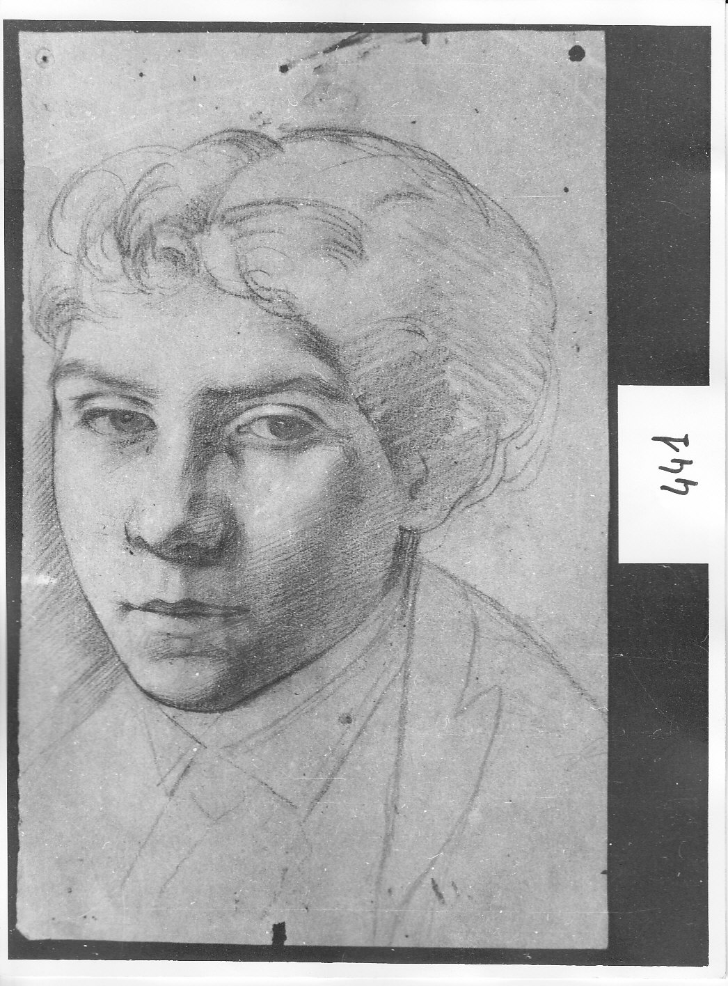 Testa di giovinetto (disegno, opera isolata) di Ligari Angelo (attribuito) (sec. XIX)