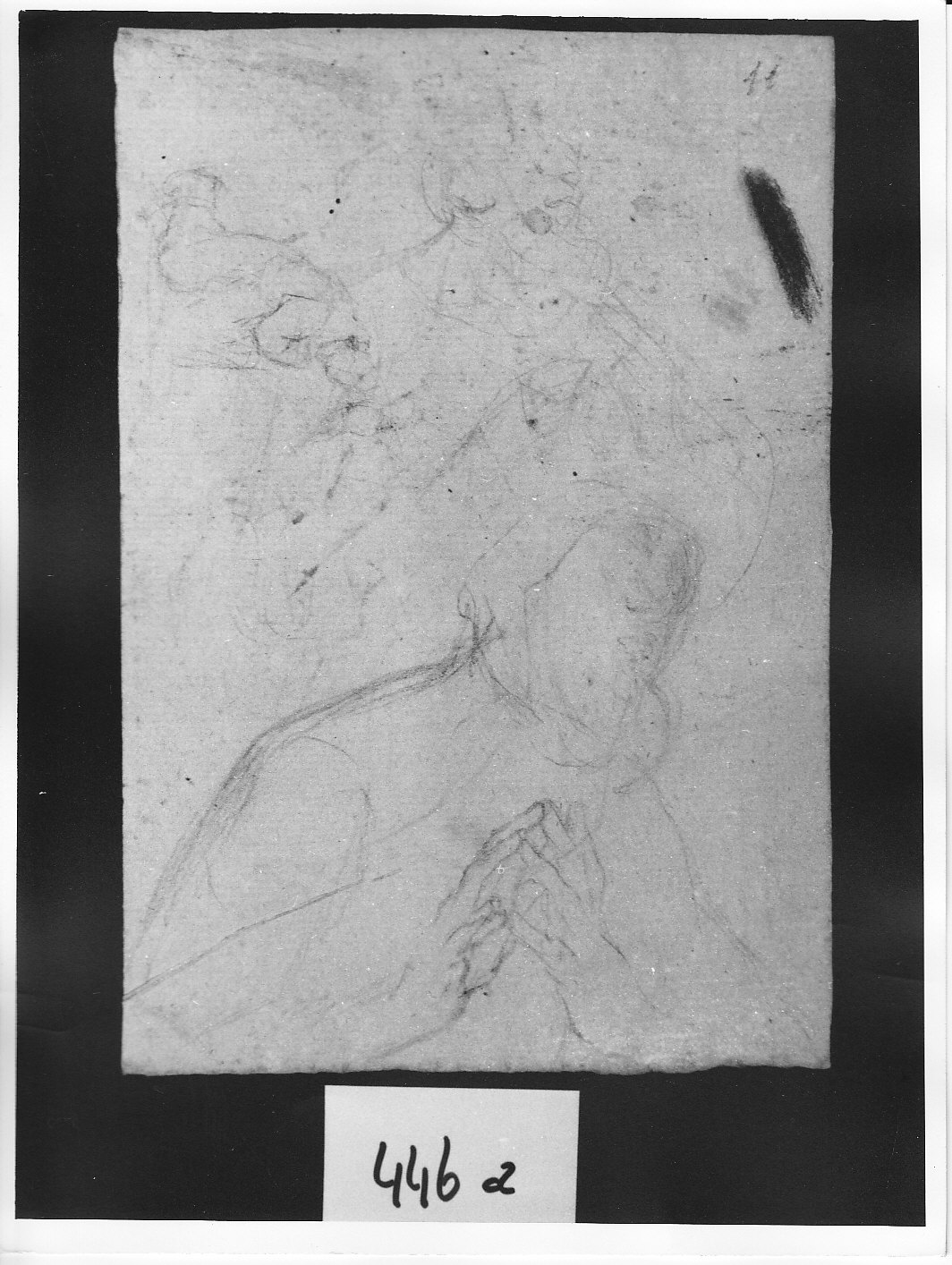 San Francesco di Paola (schizzo) (disegno, opera isolata) di Ligari Pietro (attribuito) (sec. XVIII)