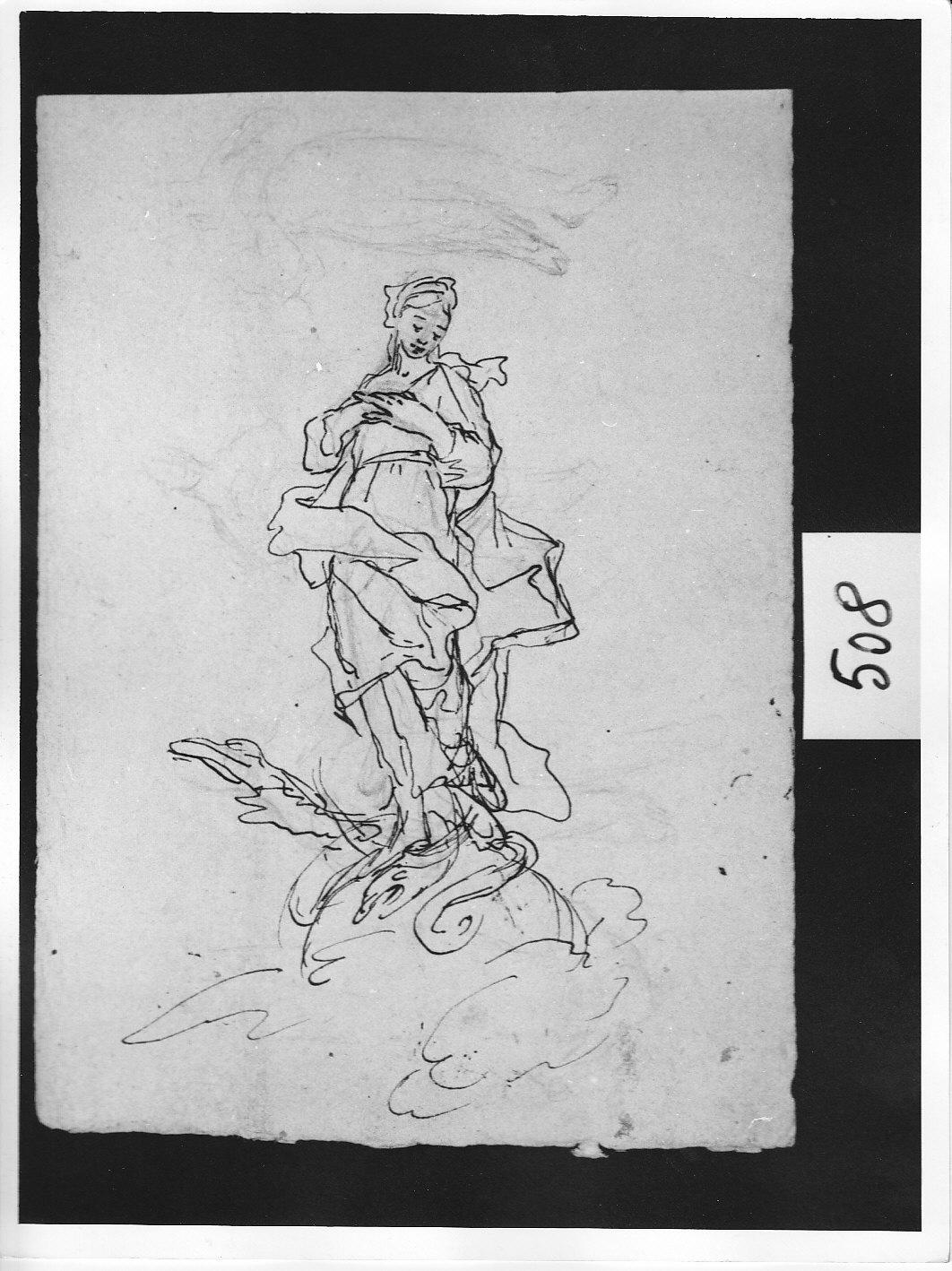 Madonna Immacolata (disegno, opera isolata) di Ligari Pietro (attribuito) (sec. XVIII)