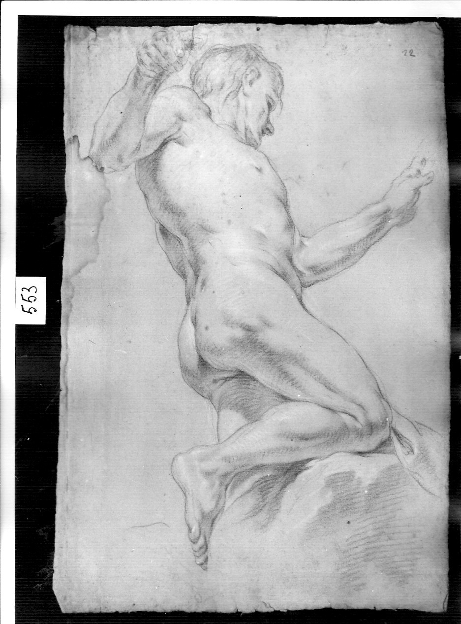 nudo di profilo (disegno, opera isolata) di Ligari Pietro (attribuito) (prima metà sec. XVIII)