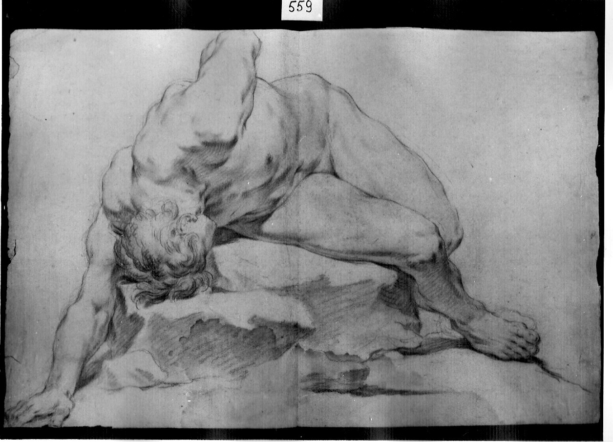 nudo riverso (disegno, opera isolata) di Ligari Pietro (attribuito) (prima metà sec. XVIII)