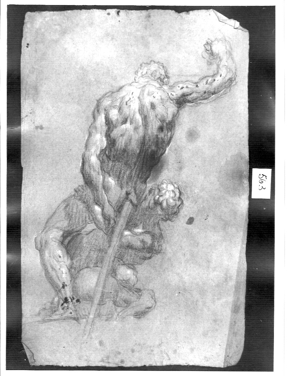 gruppo di due ignudi (disegno, opera isolata) di Ligari Cesare (attribuito) (sec. XVIII)