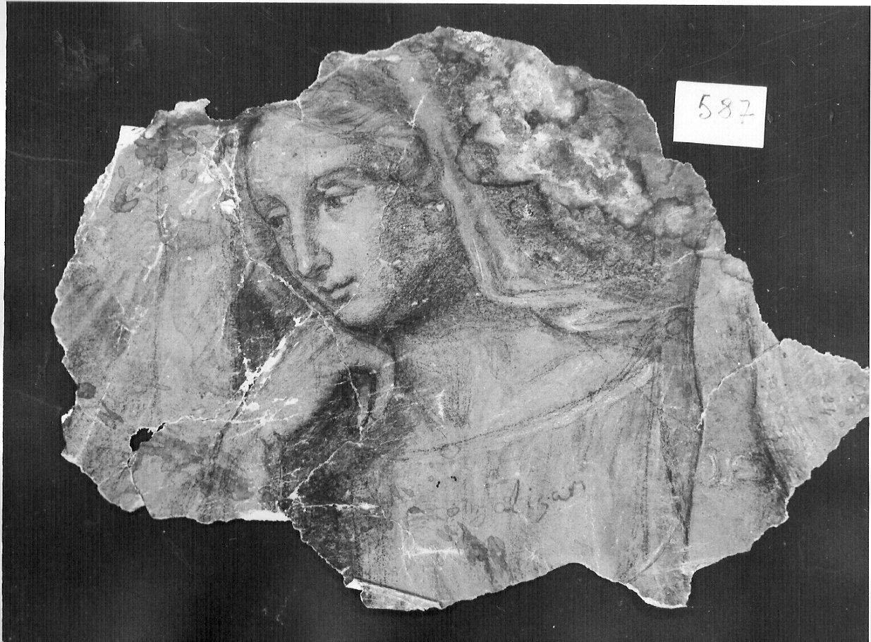 testa di donna (disegno, frammento) di Ligari Angelo (sec. XIX)