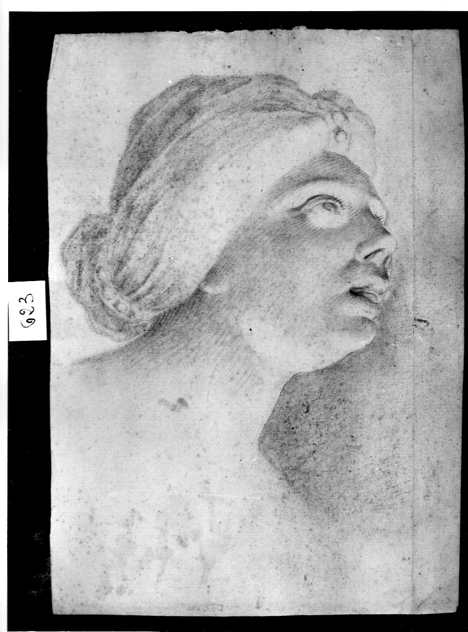 testa femminile (disegno, opera isolata) di Ligari Angelo (attribuito) (sec. XIX)