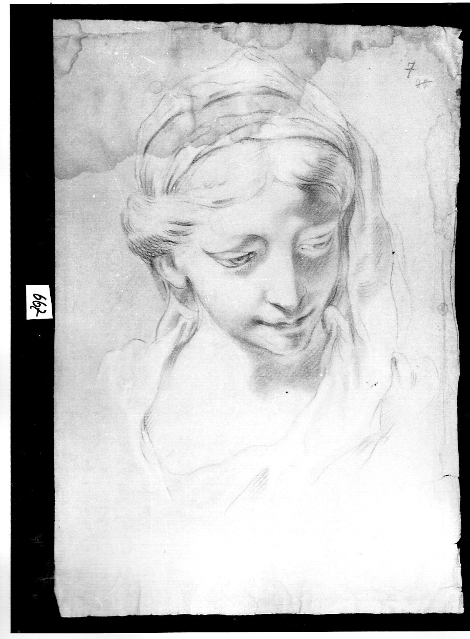 fanciulla velata (disegno, opera isolata) di Ligari Vittoria (attribuito) (sec. XVIII)