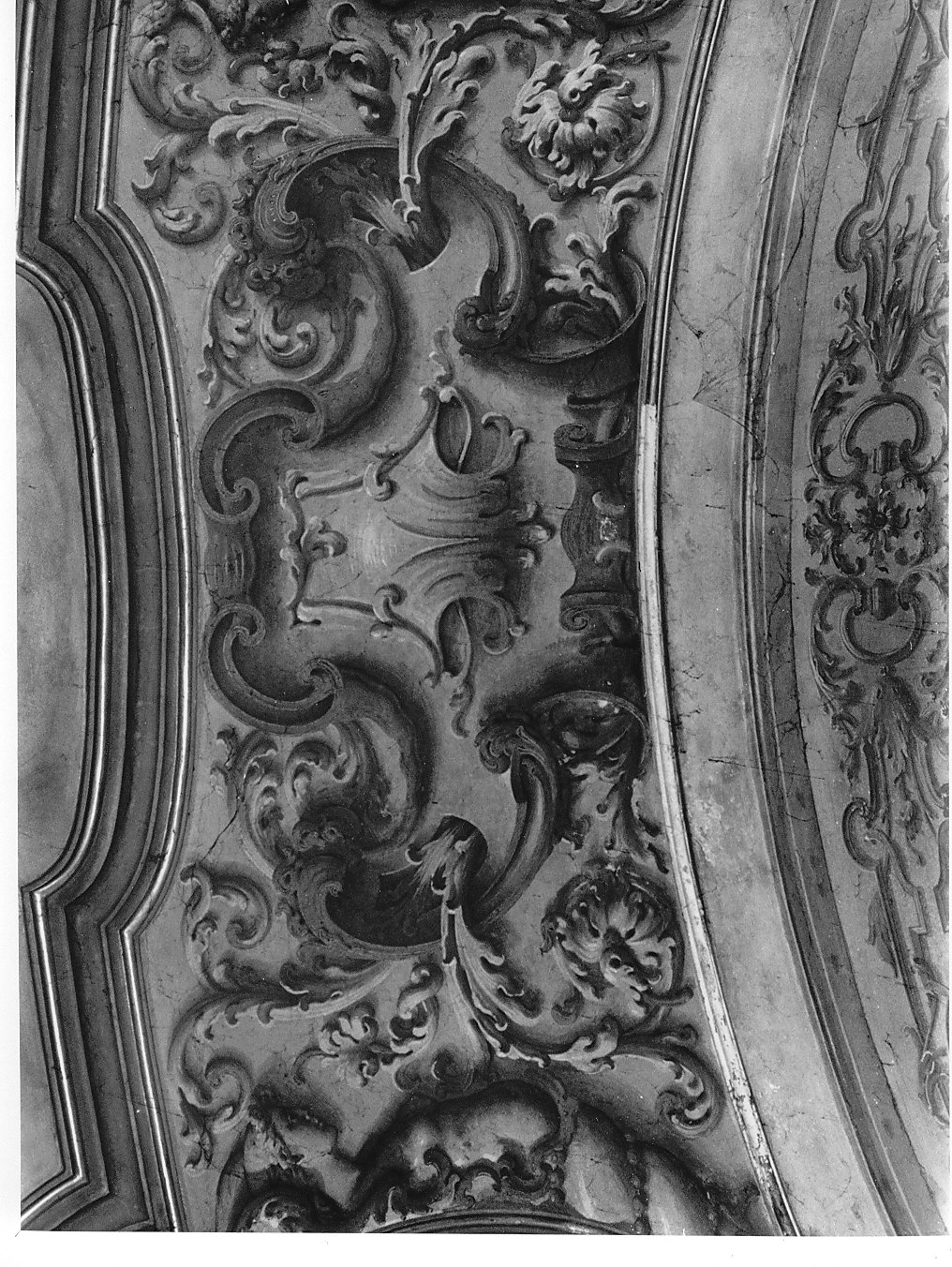 motivi decorativi vegetali con putti alati (decorazione pittorica, opera isolata) di Ottone Casimiro (fine sec. XIX)