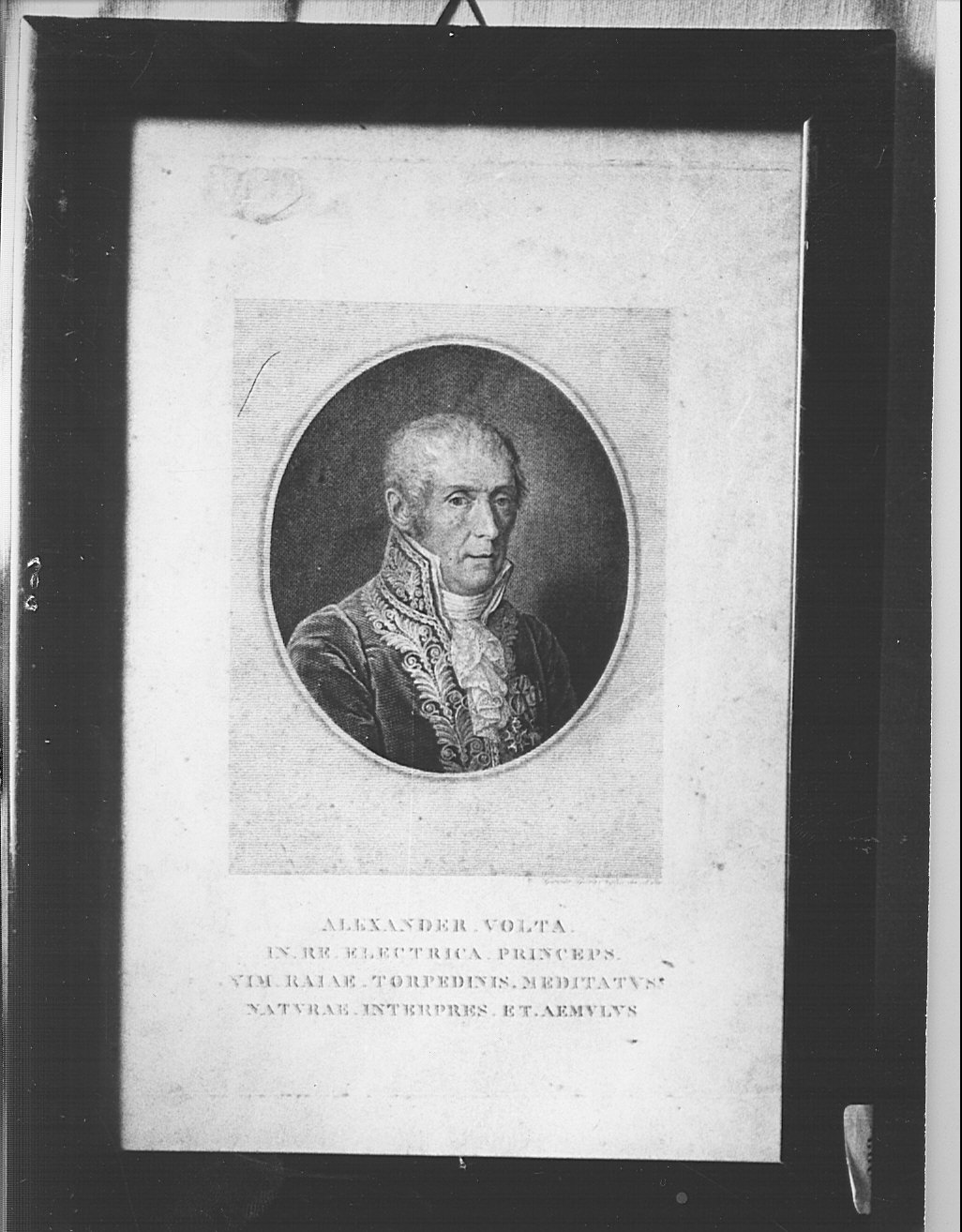 ritratto di Alessandro Volta (stampa) di Garavaglia Giovita (prima metà sec. XIX)