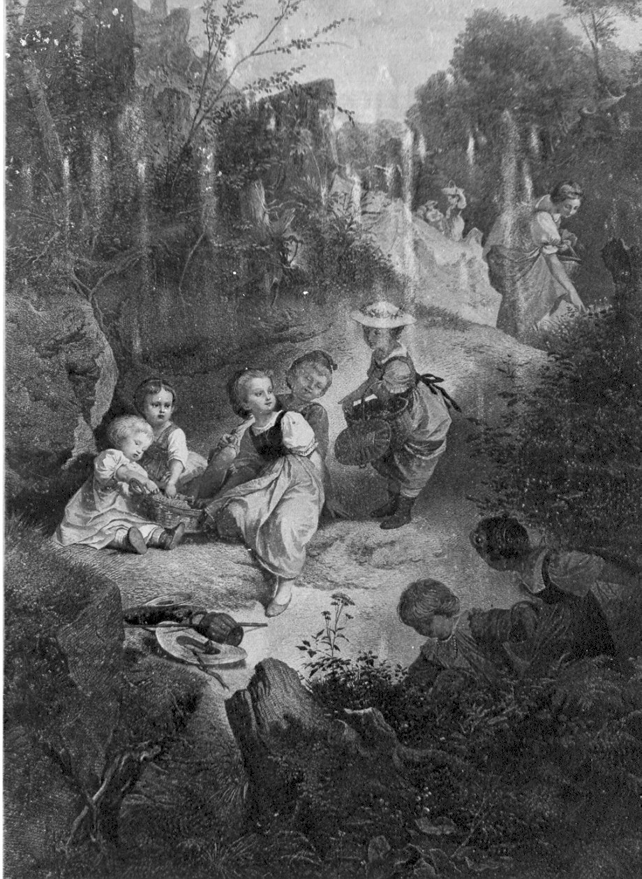 In cerca di fragole (stampa) - ambito italiano (sec. XIX)