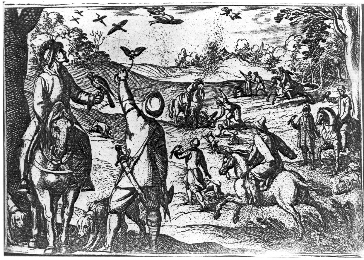 Caccia con il falcone, scena di caccia (stampa) di Tempesta Antonio (sec. XVI)