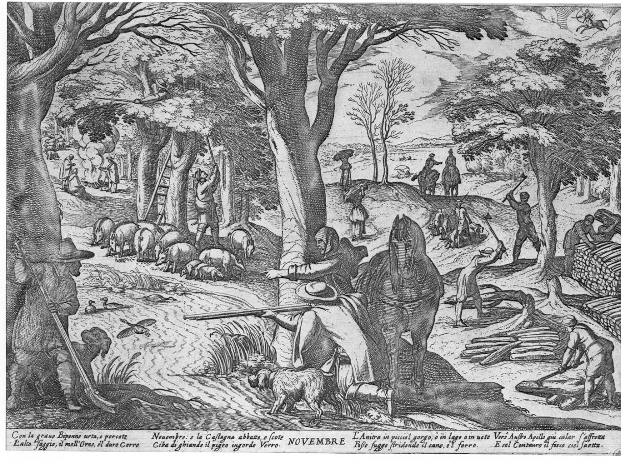 Il mese di Novembre (stampa) di Tempesta Antonio (sec. XVI)