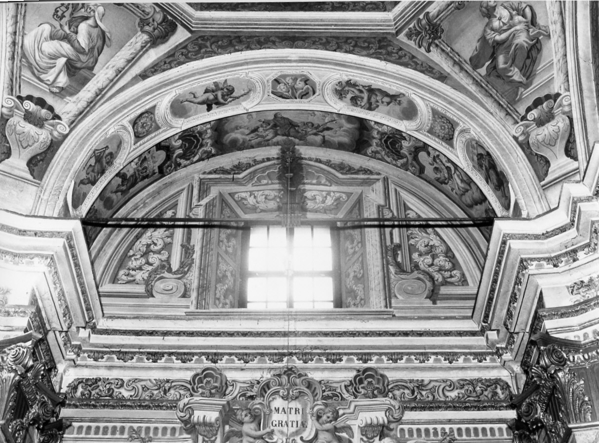 motivi decorativi vegetali (dipinto murale, elemento d'insieme) di Muttoni Giovanni Battista (sec. XVIII)