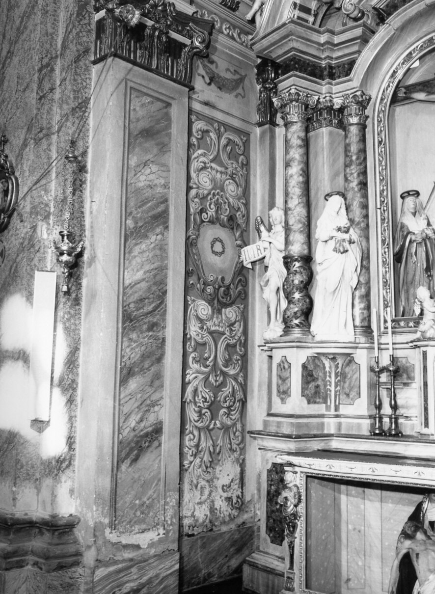 motivi decorativi vegetali (dipinto murale, elemento d'insieme) di Della Torre Francesco (sec. XVIII)