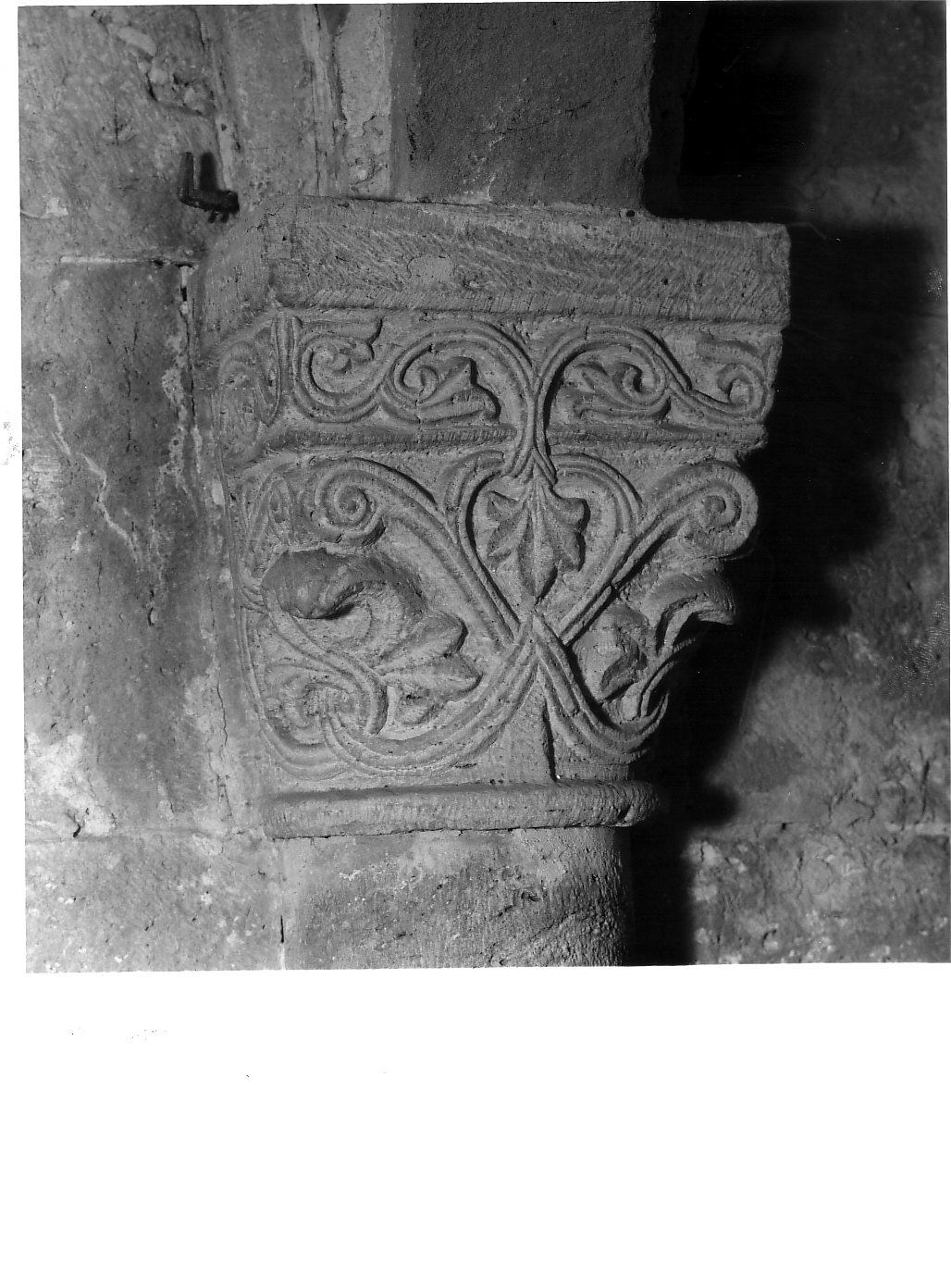 semicapitello - bottega romana (sec. XII)