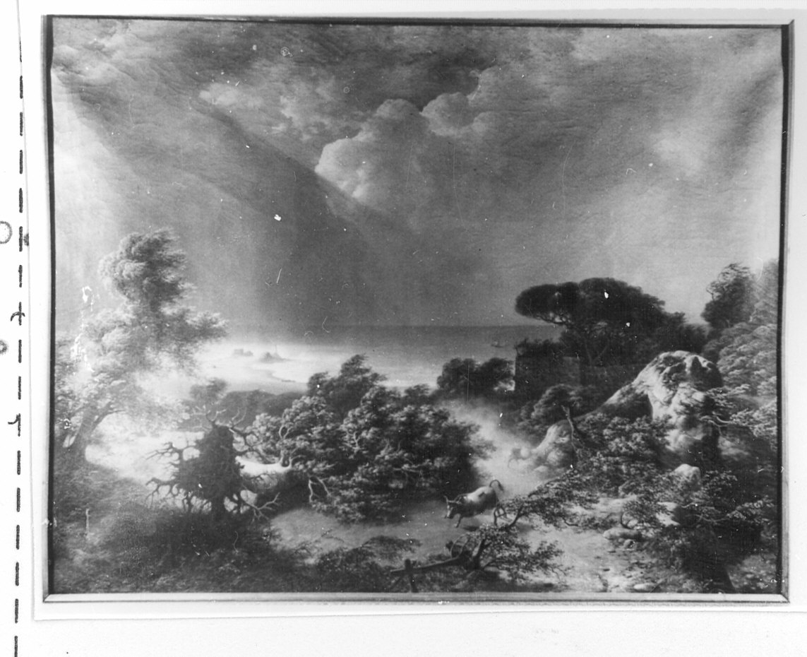 scena di temporale (dipinto) di Bisi Giuseppe (prima metà sec. XIX)