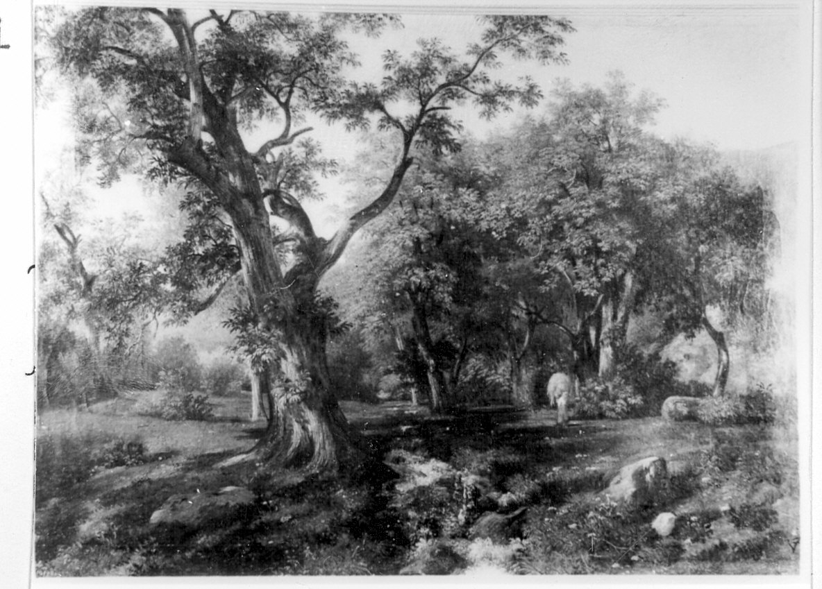 Studio di castagni presso Baveno, paesaggio (dipinto) di Villa Fabio (sec. XIX)