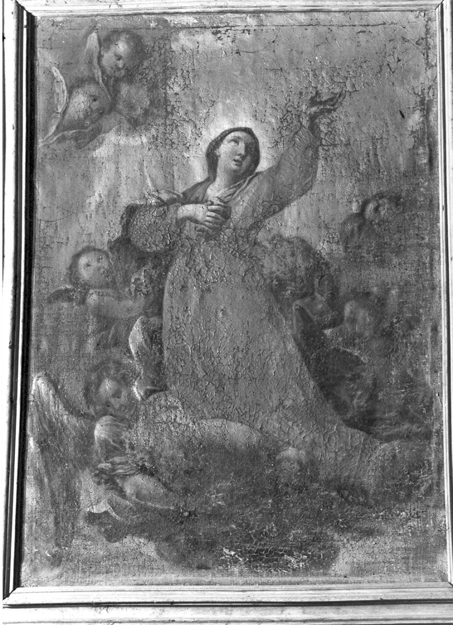 Madonna Assunta (dipinto, opera isolata) - ambito lombardo (seconda metà sec. XVIII)