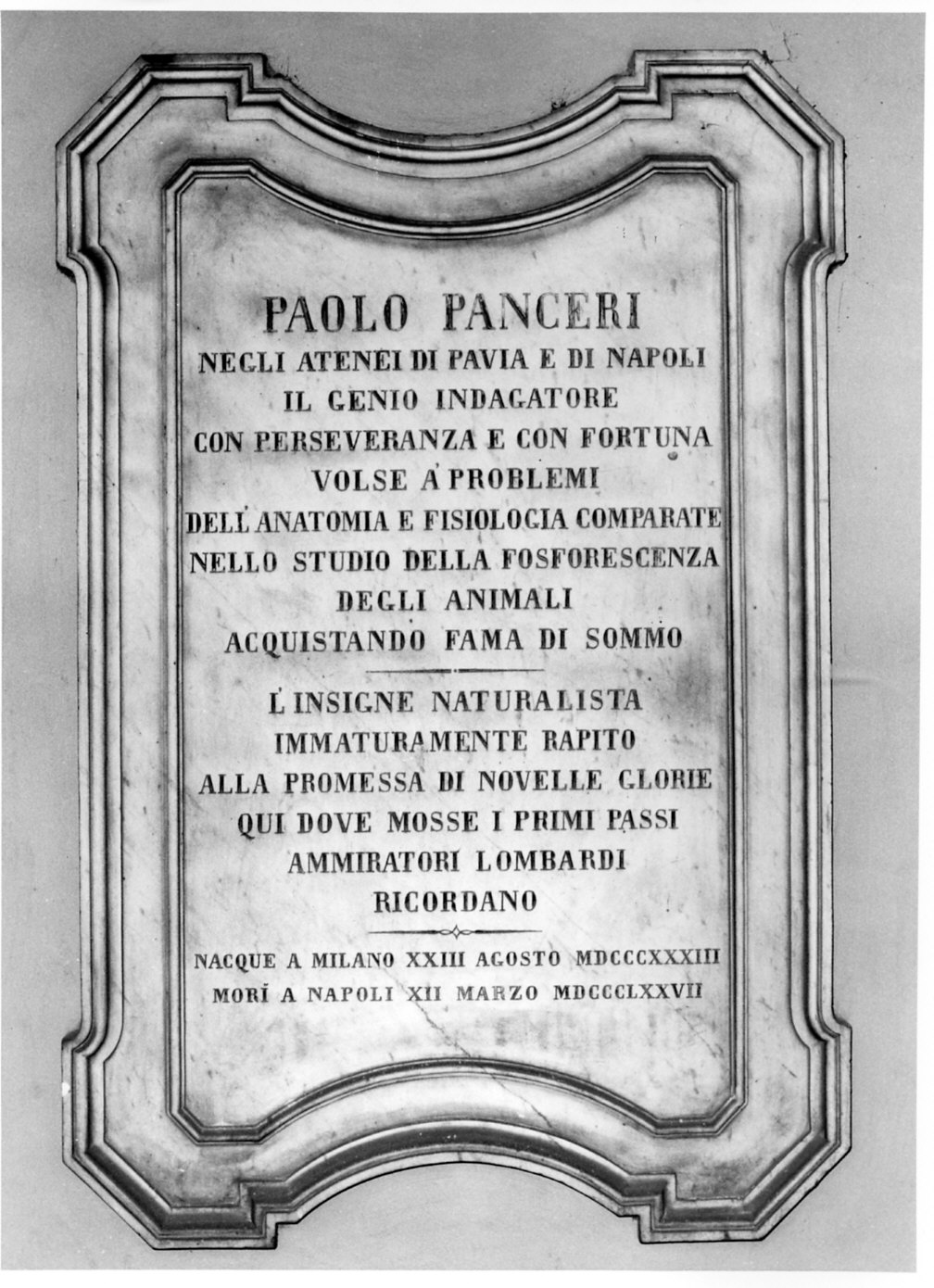 lapide, opera isolata - bottega italiana (sec. XIX)