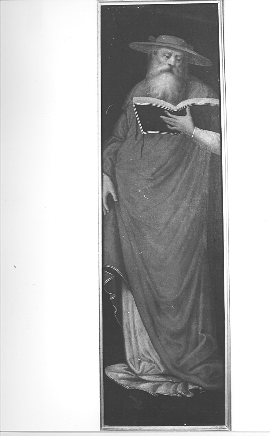 San Bonaventura (dipinto) di Ferrari Gaudenzio (attribuito) (sec. XVI)