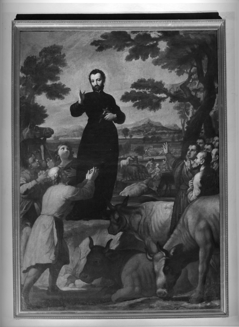 San Francesco Saverio benedice il bestiame (dipinto, opera isolata) - ambito lombardo (prima metà sec. XVIII)