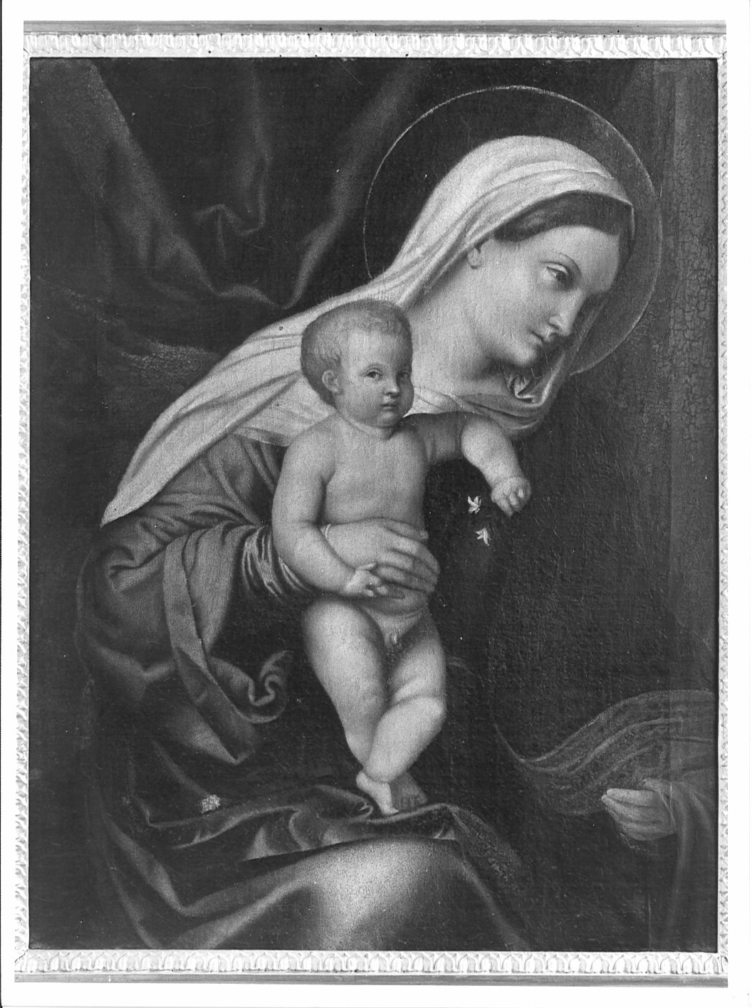 Madonna con Bambino (dipinto) di Bonvicino Alessandro detto Moretto (maniera) (sec. XVI)