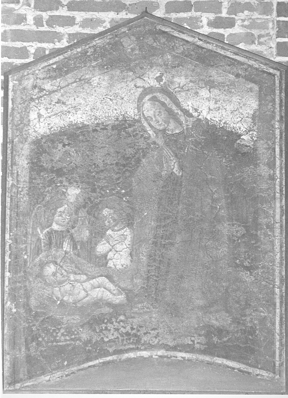 Madonna adorante con cherubini, Madonna (dipinto) di Boniforte da Mortara (attribuito) (seconda metà sec. XV)