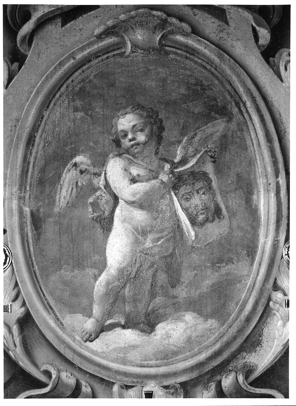 angioletto con simbolo della Passione (dipinto murale, opera isolata) di Biella Felice (sec. XVIII)