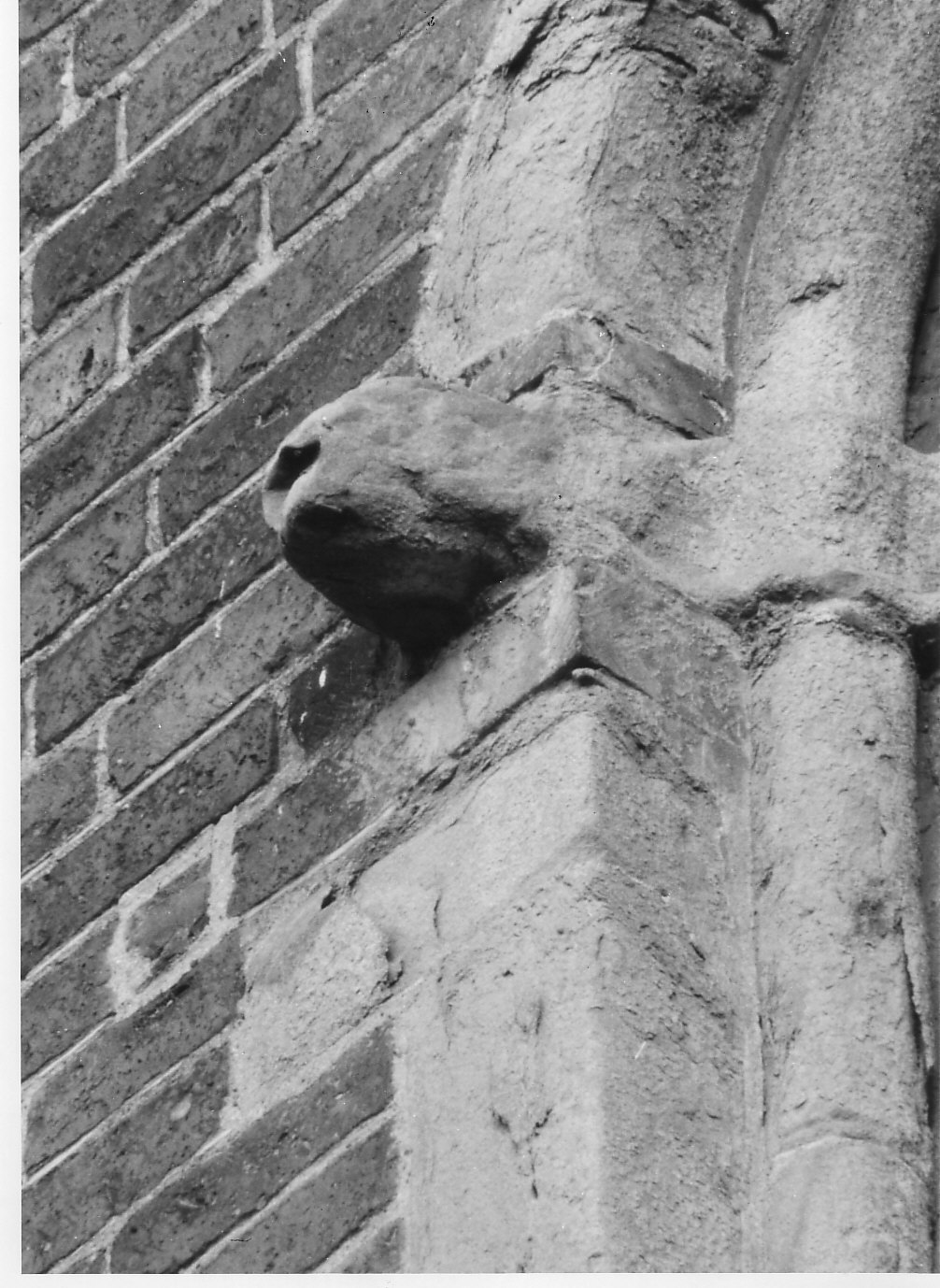 Protome ferina (scultura, opera isolata) - bottega lombarda (sec. XII)