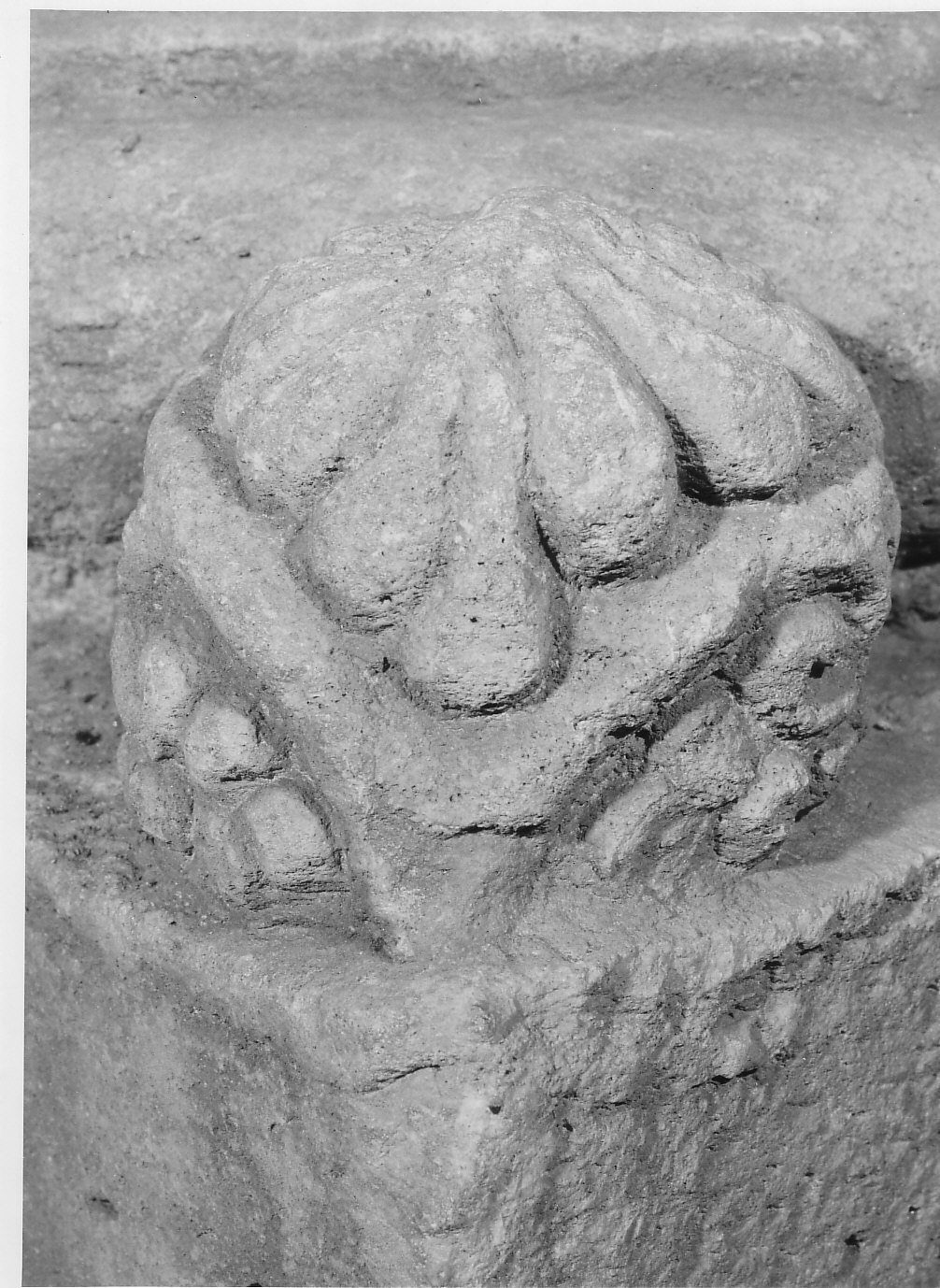 foglia protezionale (scultura, opera isolata) - bottega lombarda (fine/inizio secc. XI/ XII)