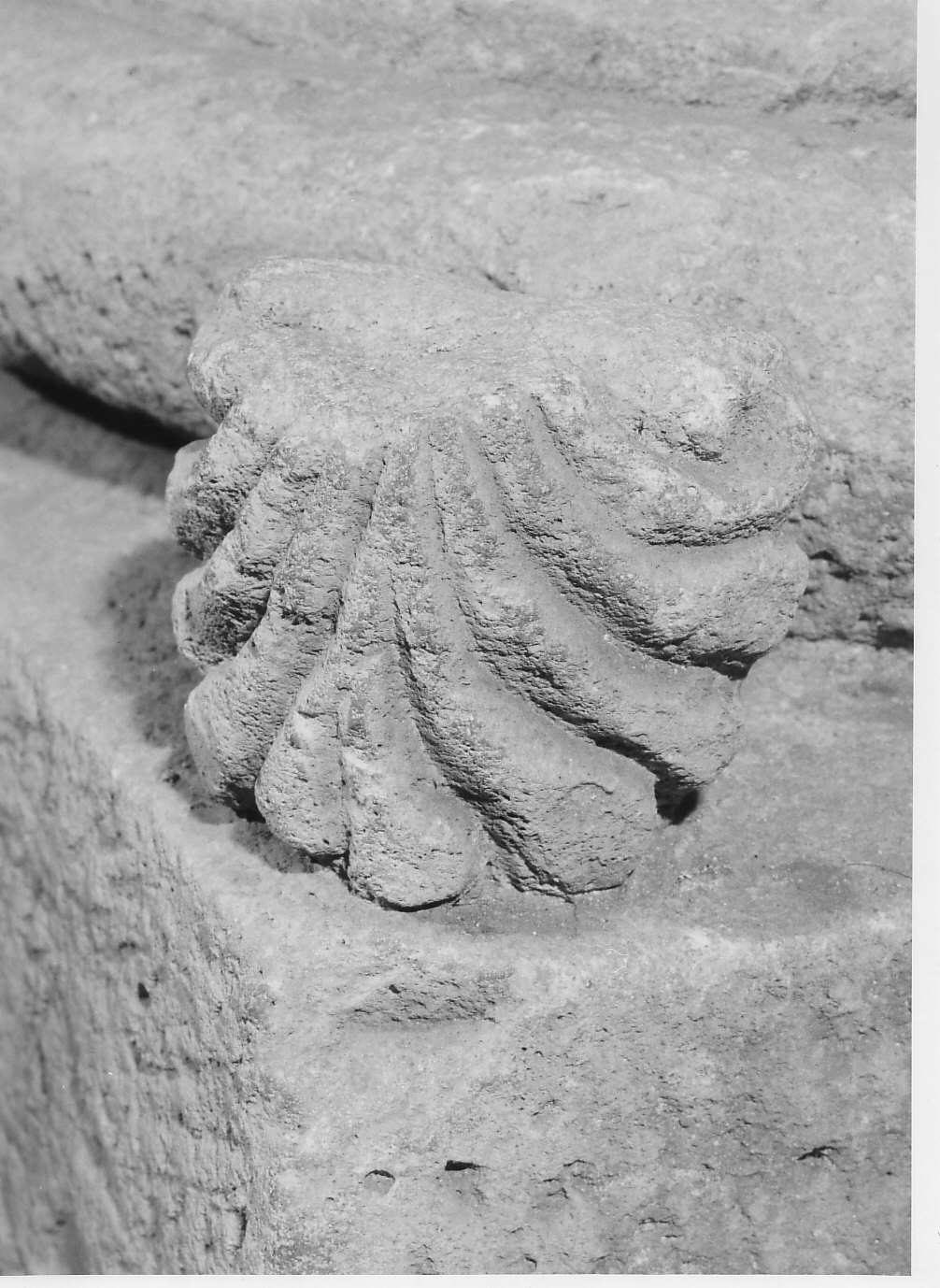 foglia protezionale (scultura, opera isolata) - bottega lombarda (fine/inizio secc. XI/ XII)