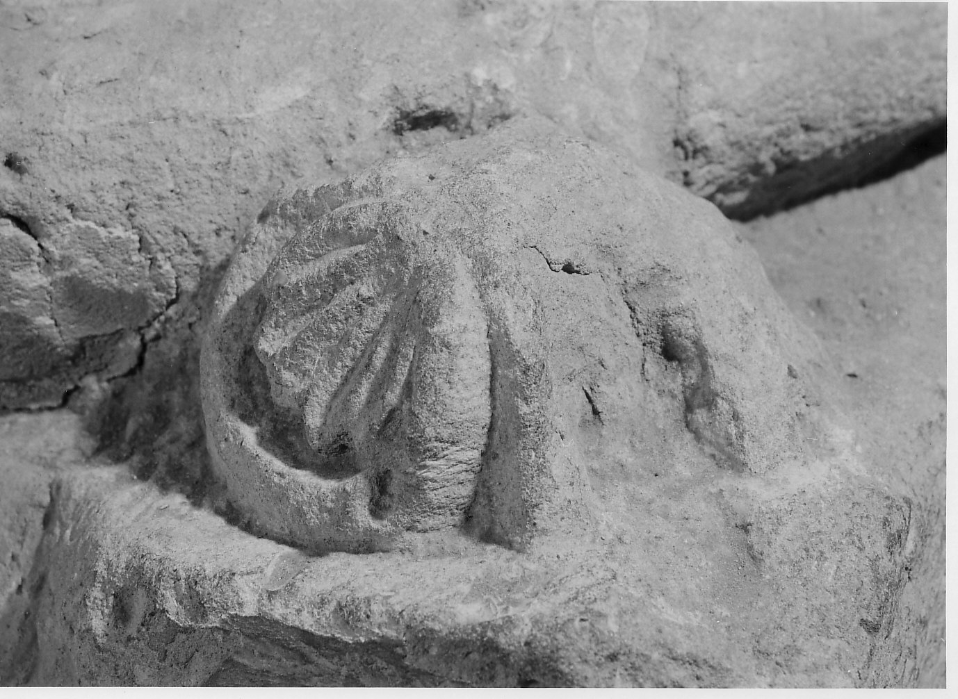 foglia protezionale (scultura, opera isolata) - bottega lombarda (fine/inizio secc. XI/ XII)