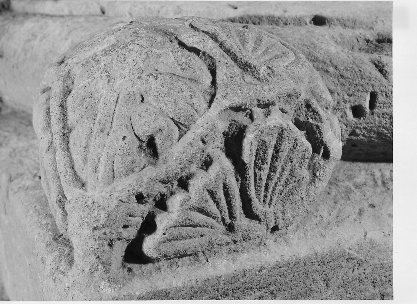 foglia protezionale (scultura, opera isolata) - bottega lombarda (fine/inizio secc. XI/ XII)