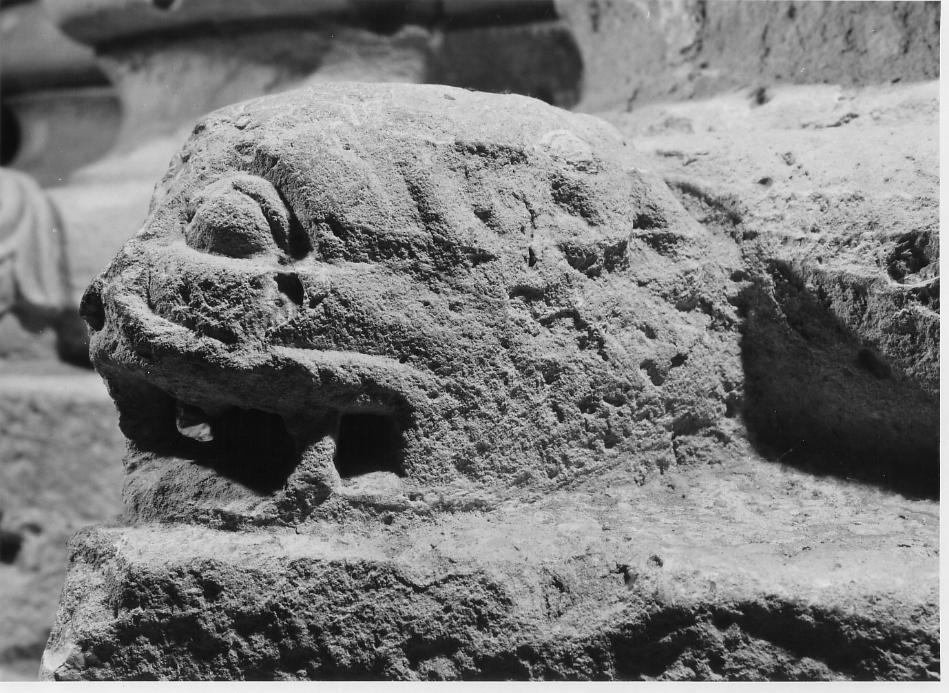 Protome ferina (scultura, opera isolata) - bottega lombarda (fine/inizio secc. XI/ XII)