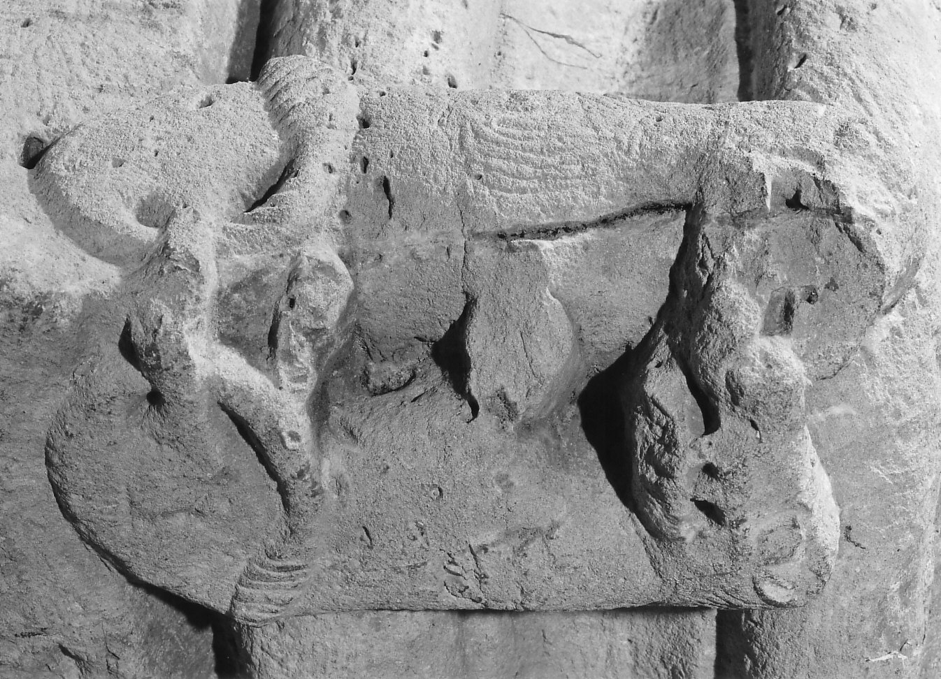 lotta di leonesse (scultura, opera isolata) - bottega lombarda (fine/inizio secc. XI/ XII)