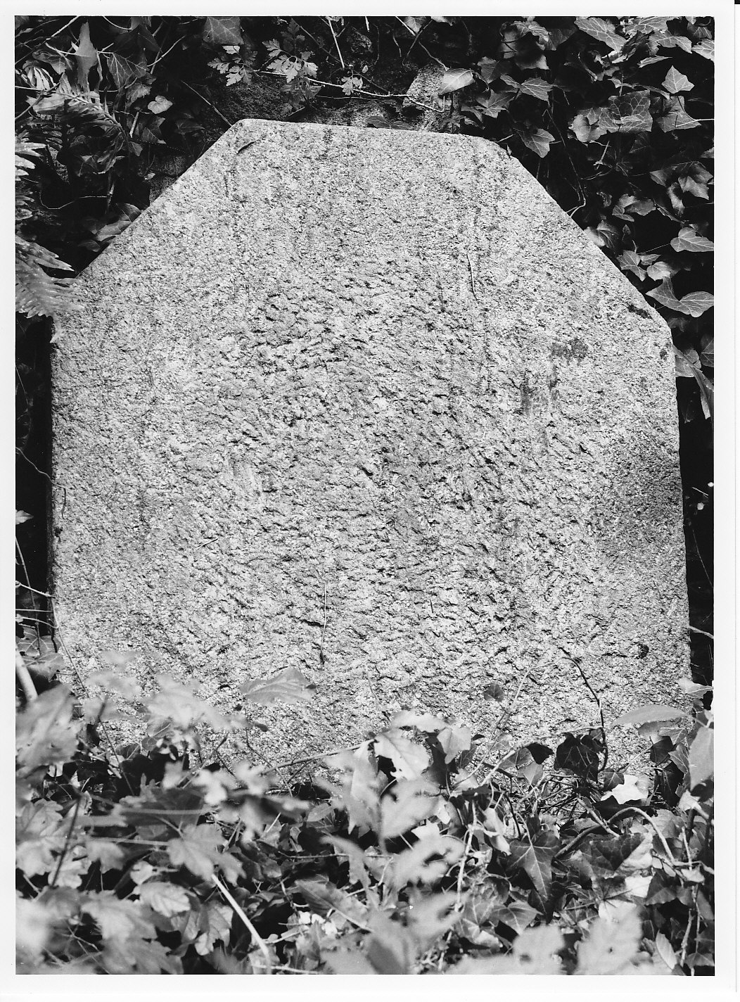 coperchio, opera isolata - bottega valtellinese (secc. XVII/ XVIII)