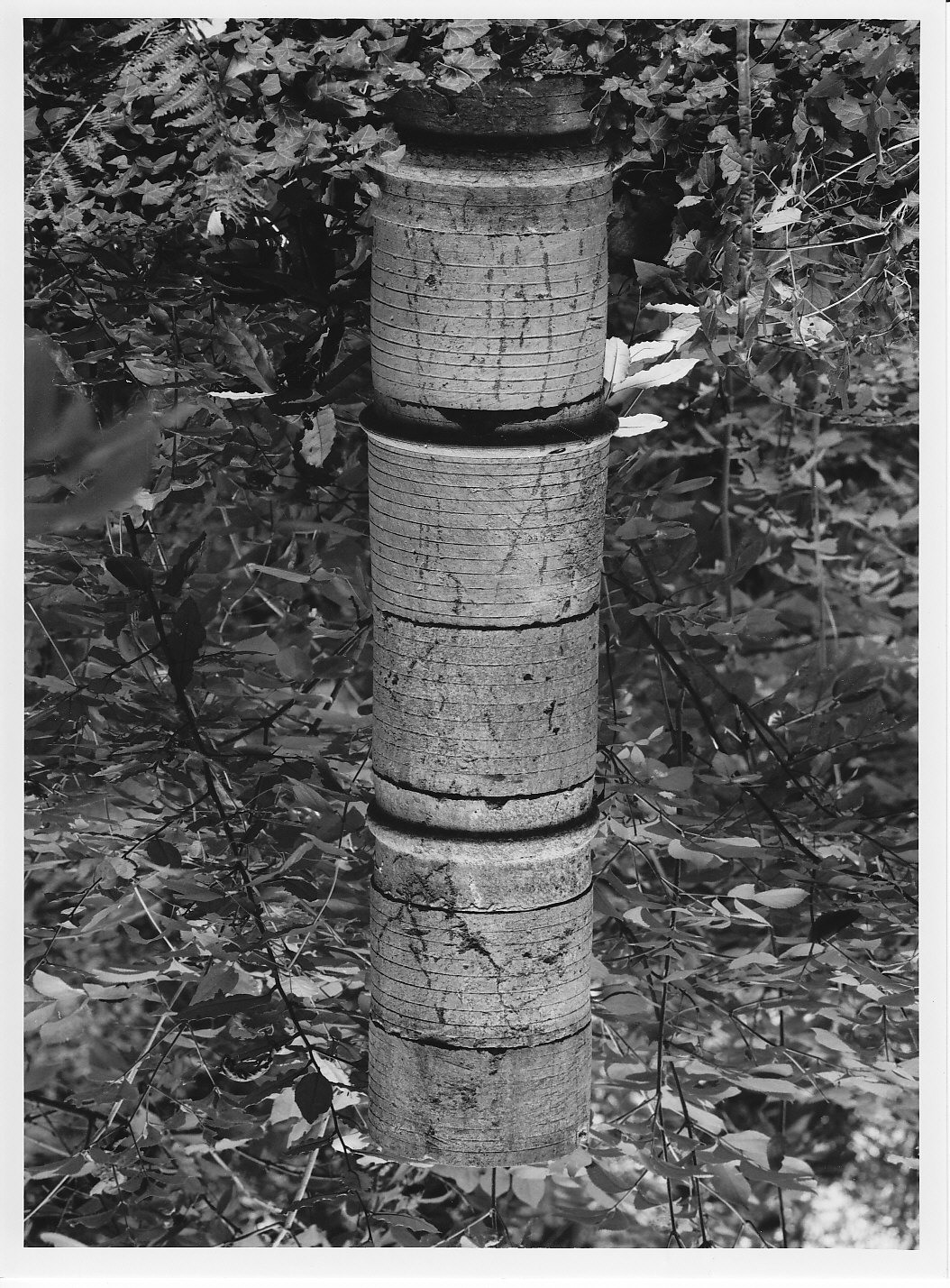 colonna, opera isolata - bottega valtellinese (secc. XVI/ XVIII)