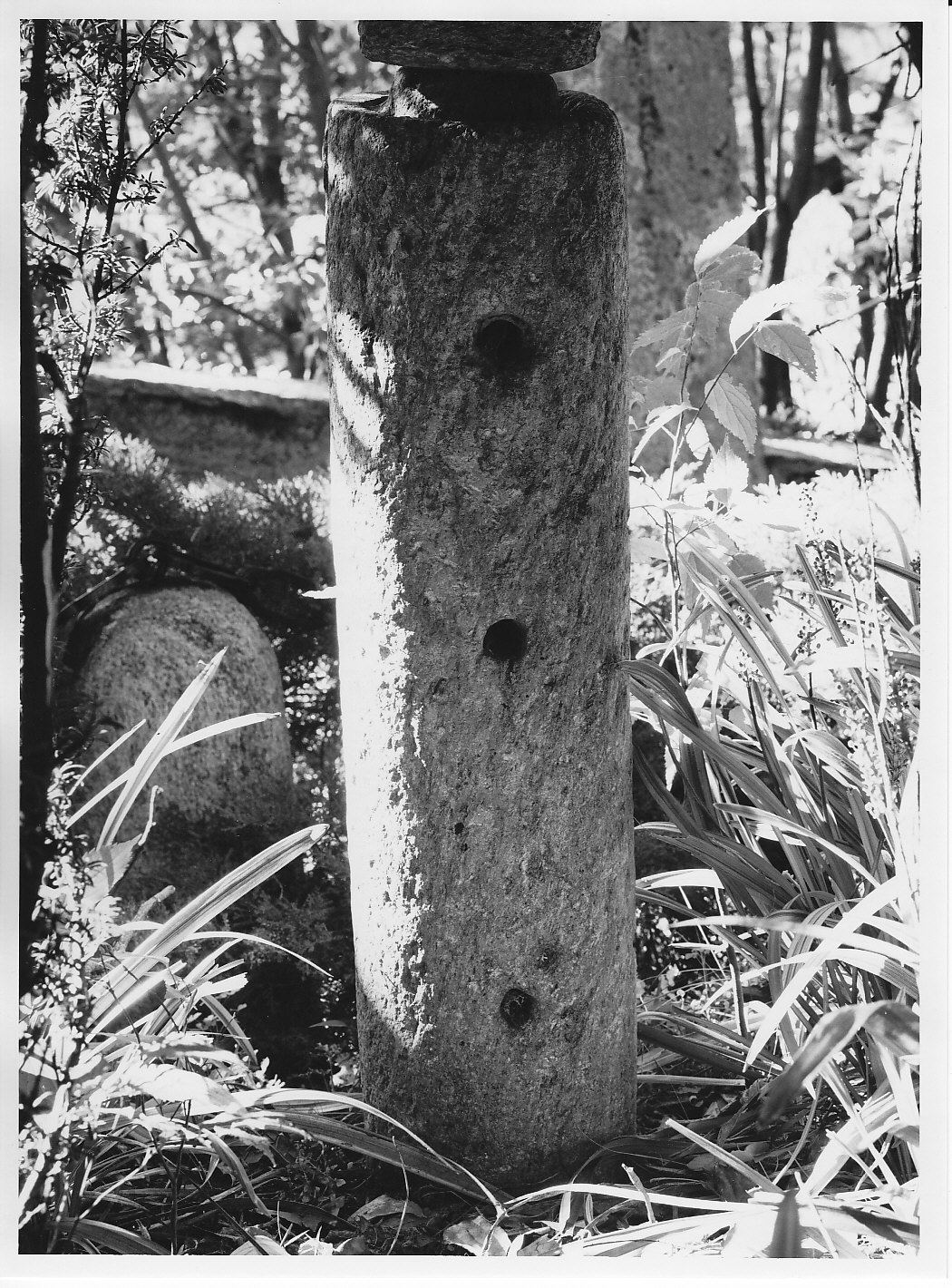 colonna, opera isolata - bottega valtellinese (sec. XVIII)