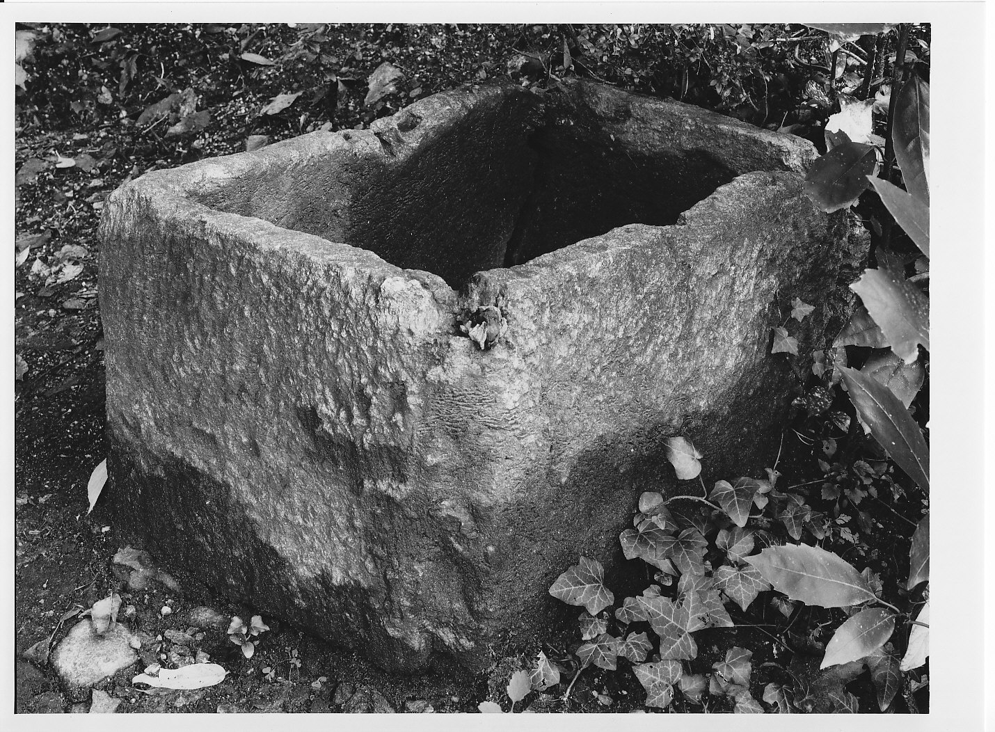 lavabo, opera isolata - bottega valtellinese (secc. XVIII/ XIX)