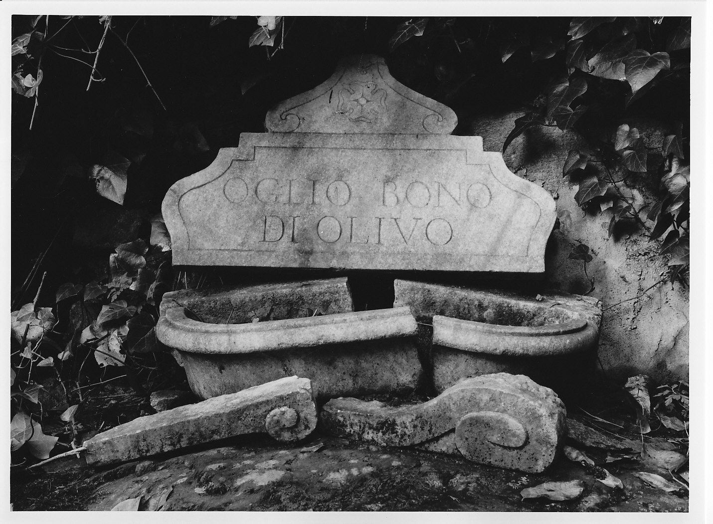 vaschetta, opera isolata - bottega valtellinese (secc. XVIII/ XIX)