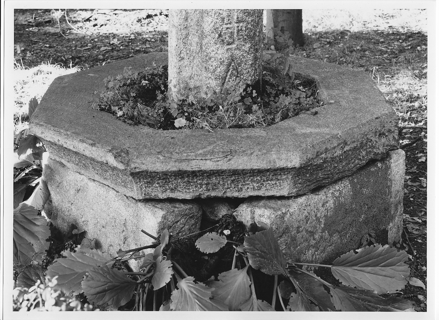 vasca di fontana, opera isolata - bottega valtellinese (sec. XIX)