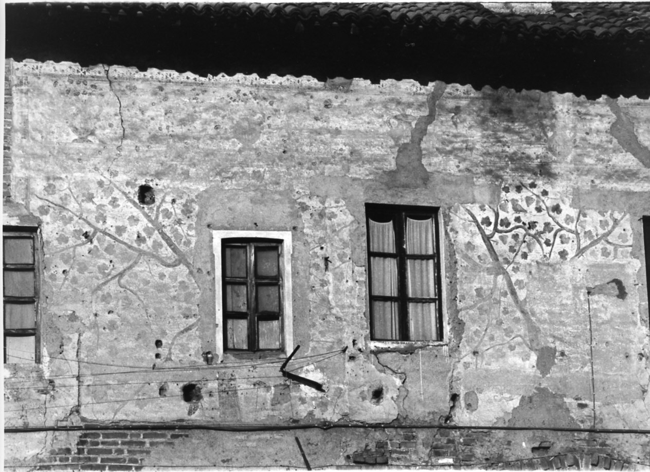 motivi decorativi vegetali (decorazione pittorica, opera isolata) - ambito lombardo (sec. XVI)