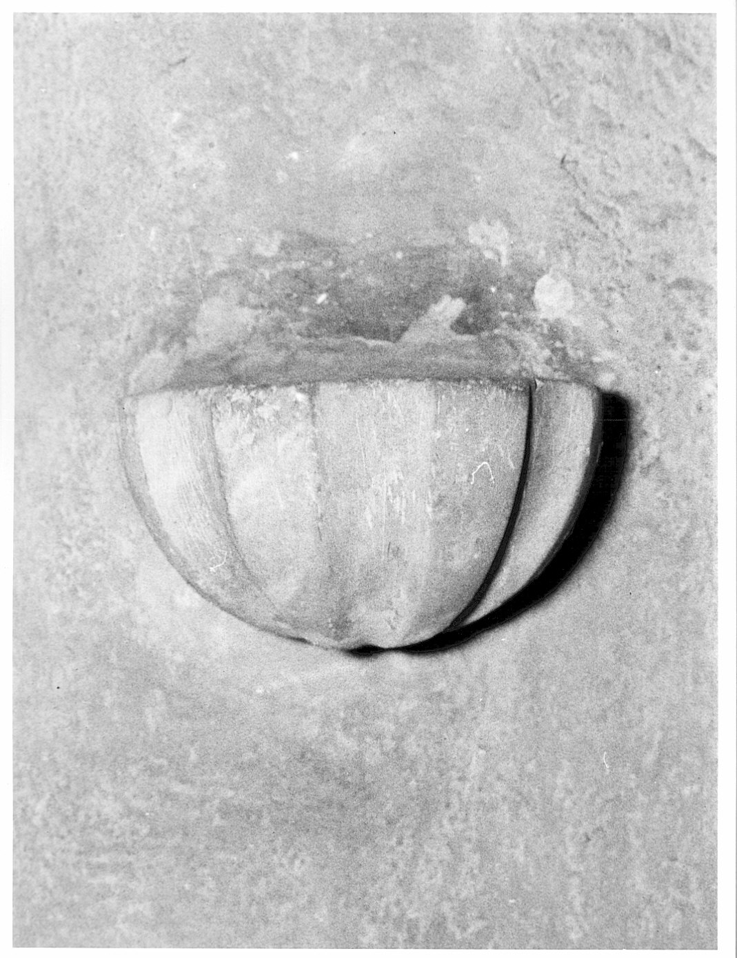 acquasantiera - bottega lombarda (sec. XVIII)