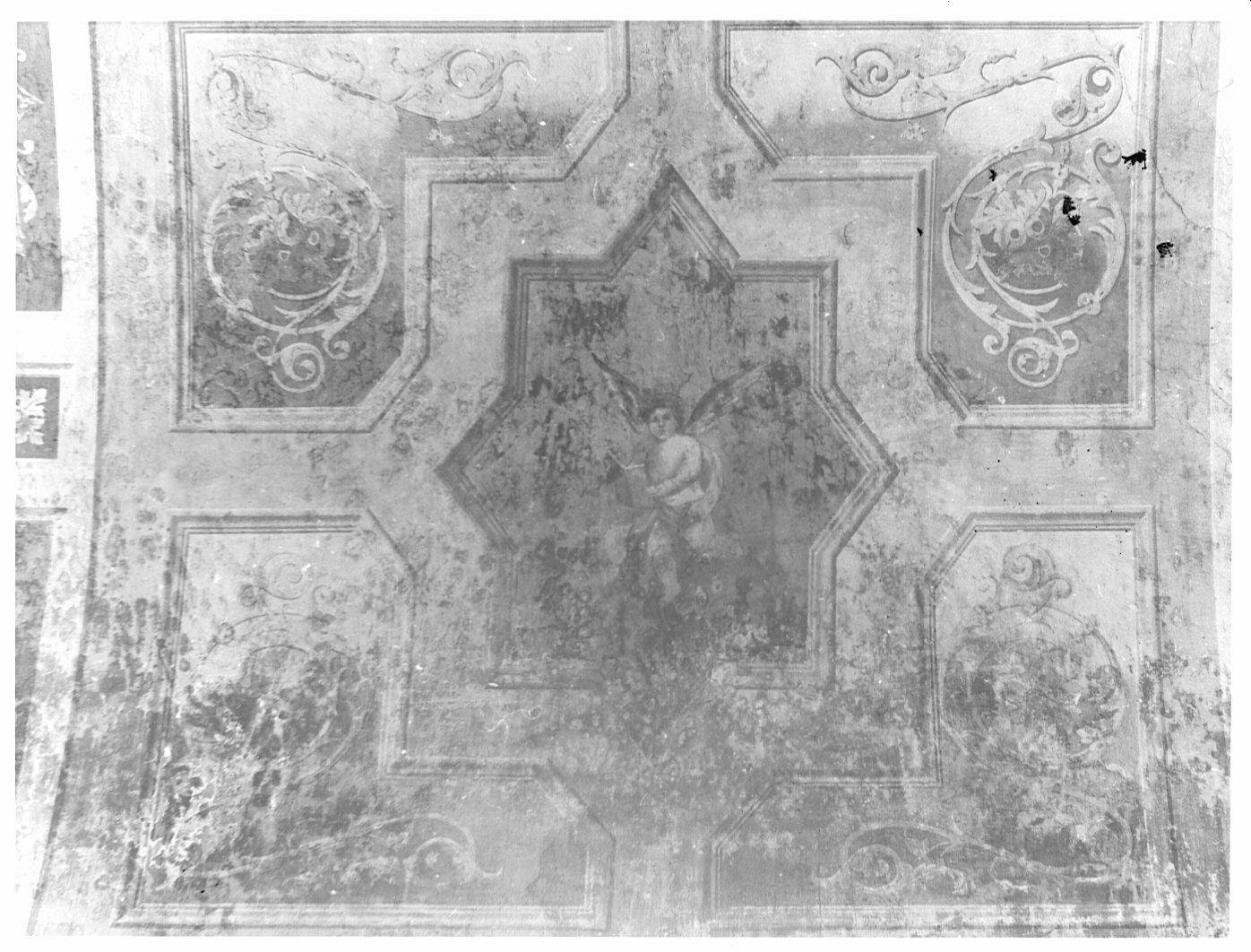 cherubino (dipinto murale) - ambito lombardo (sec. XIX)