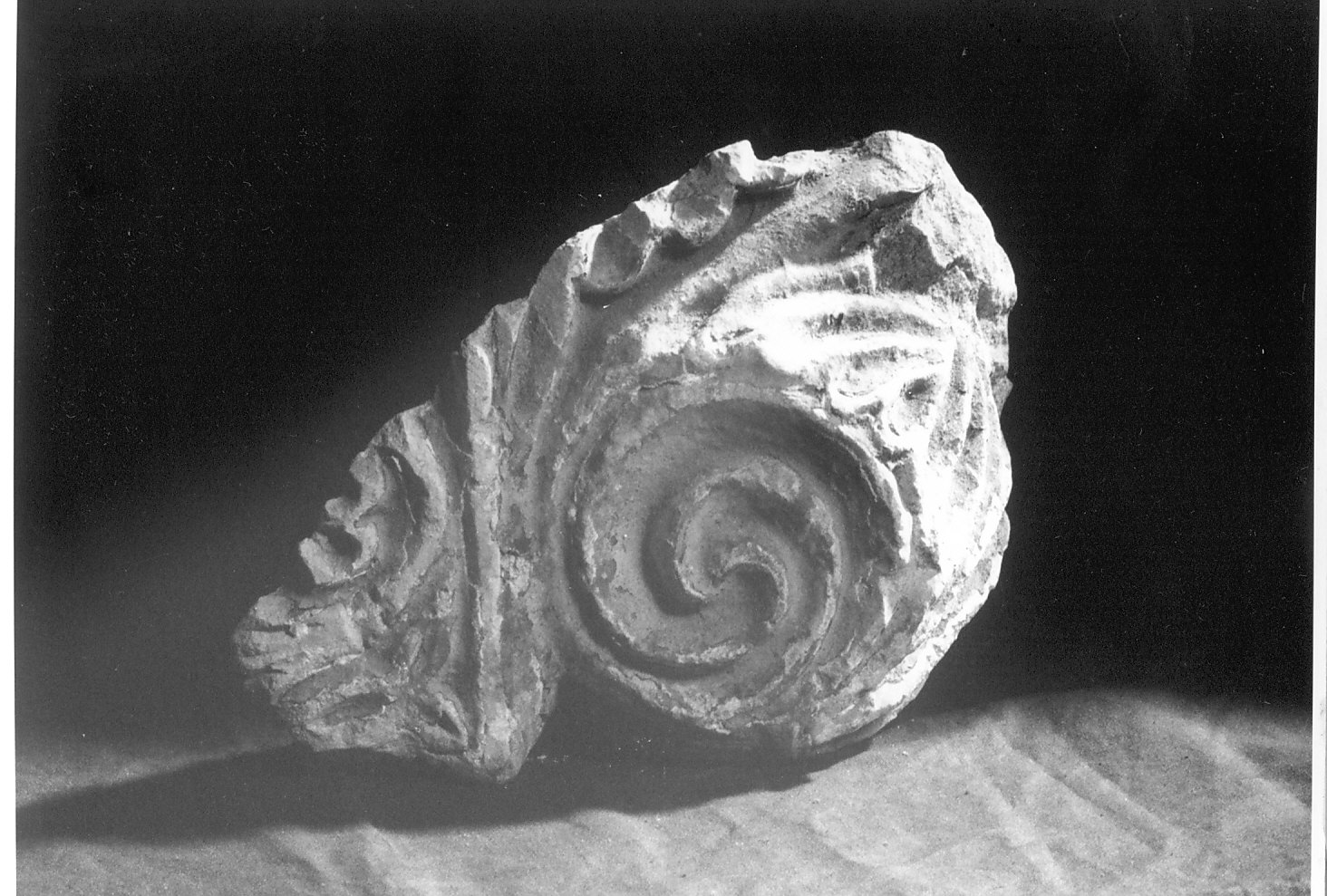 capitello, frammento - bottega italiana (prima metà sec. XIII)