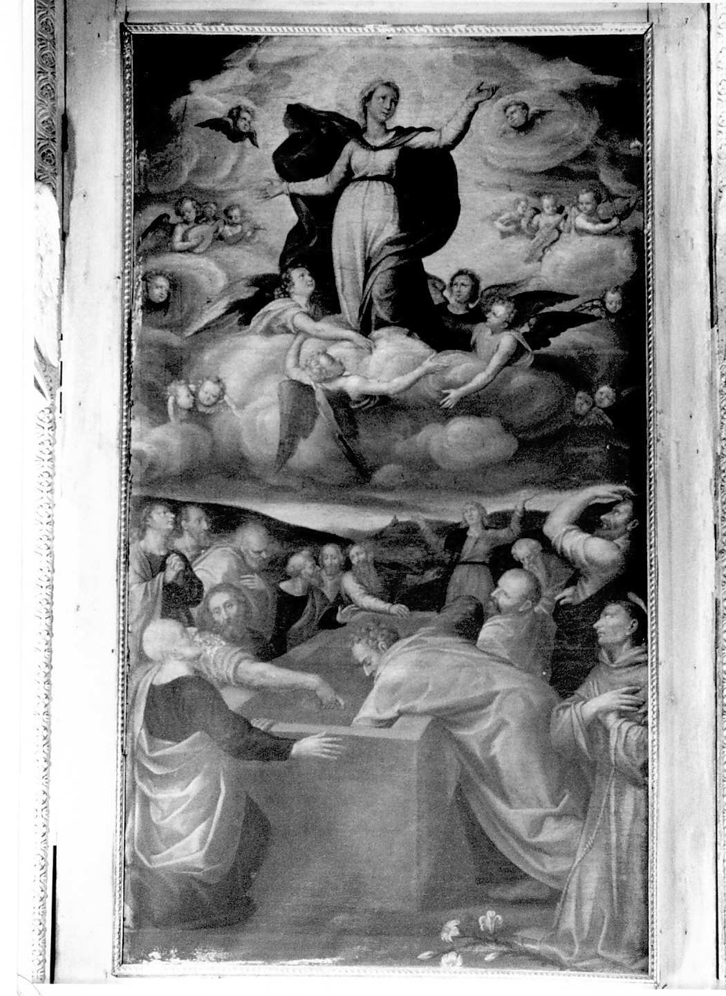 assunzione della Madonna (dipinto, opera isolata) di Romani Giovanni Francesco (attribuito) (inizio sec. XVII)